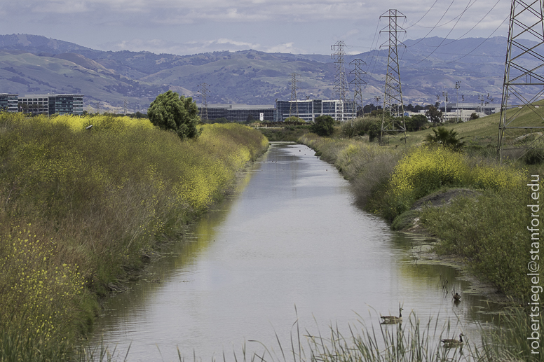 Sunnyvale Bay Trail